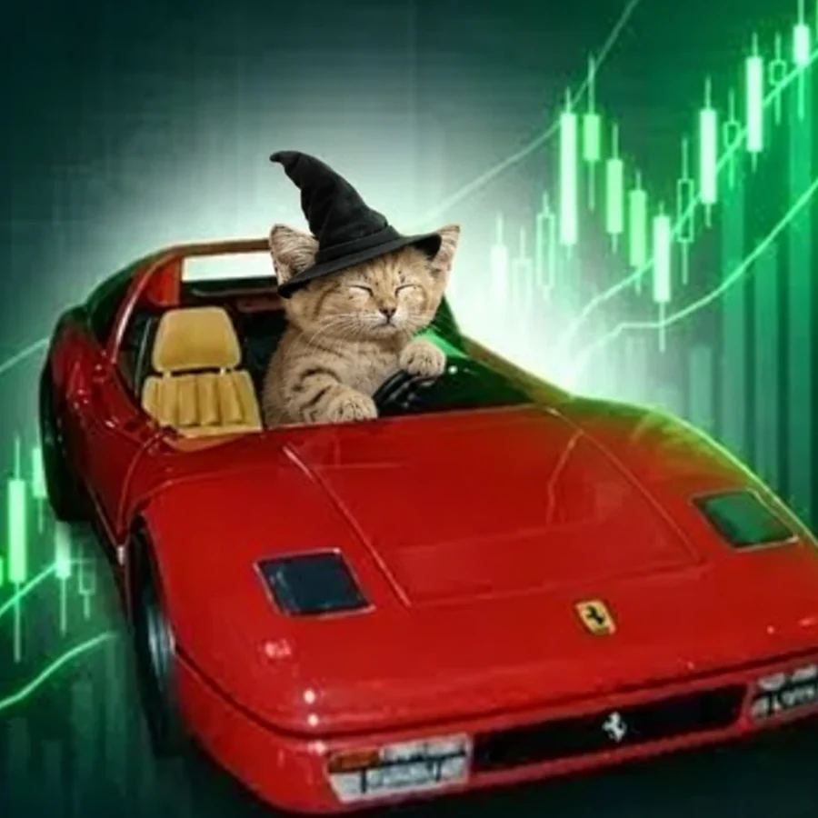 The kitten in a witch hat at the wheel of the red car, green candles climbing behind her